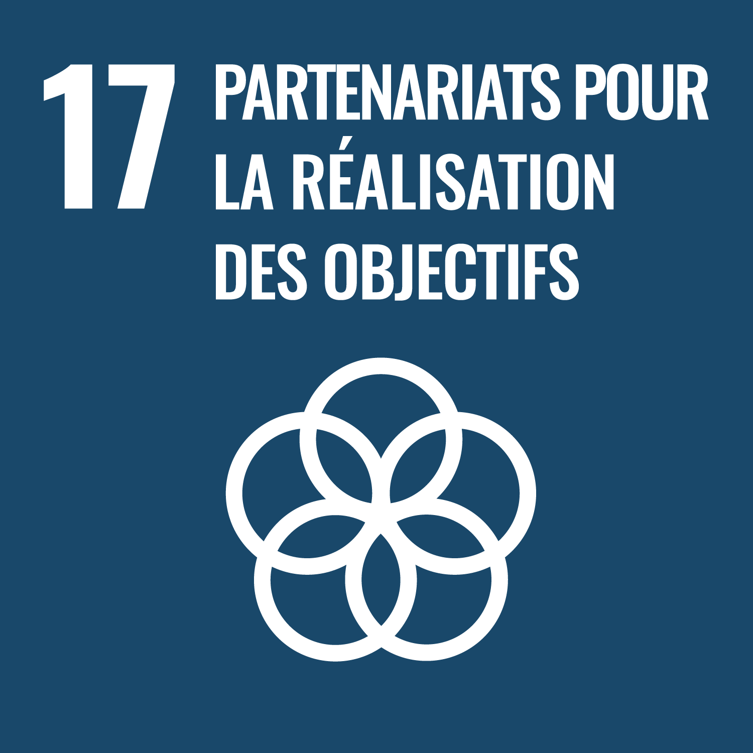 ODD 17, partenariats pour les objectifs